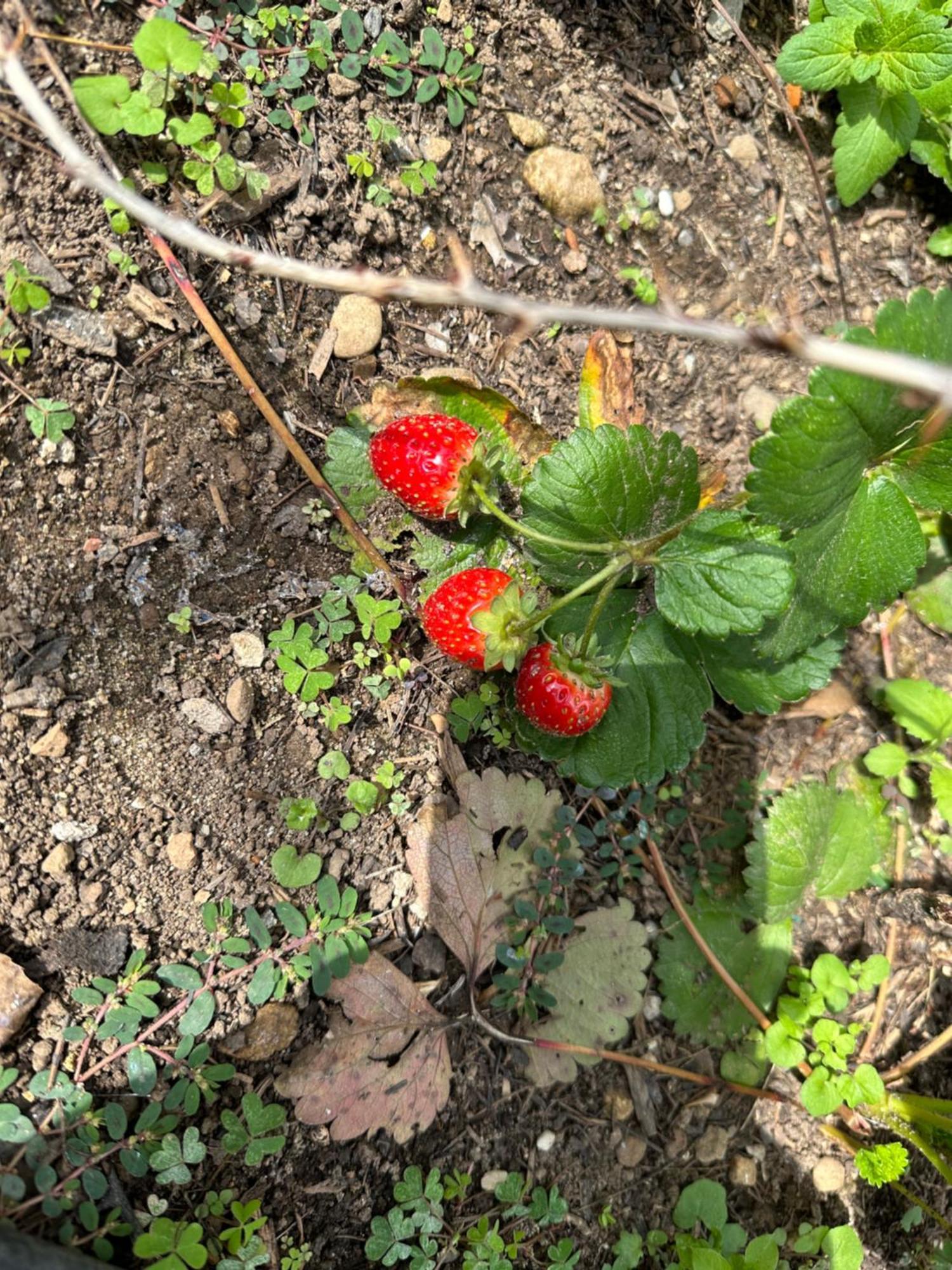 Villa 2 카사노 다다 외부 사진