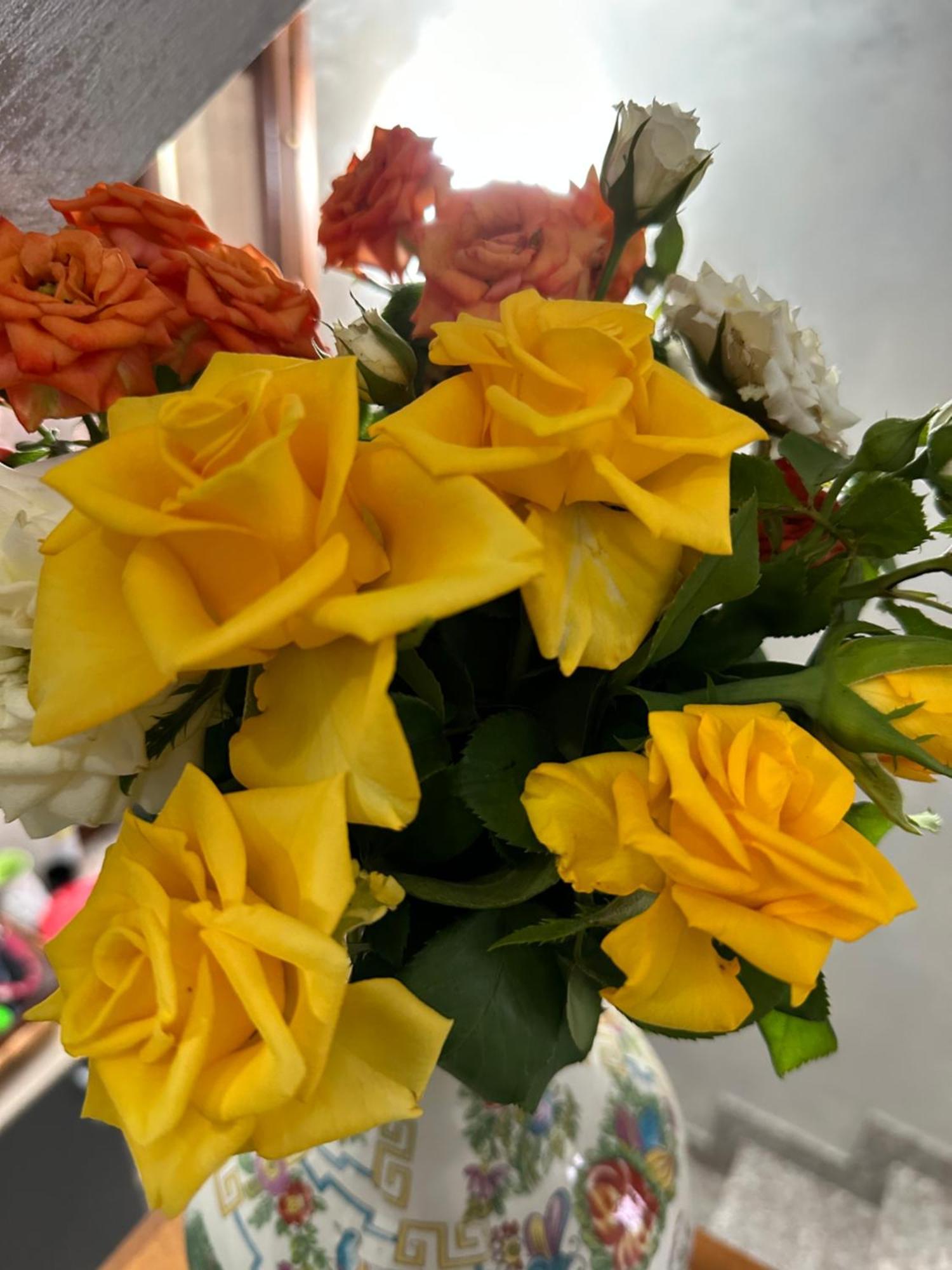 Villa 2 카사노 다다 외부 사진